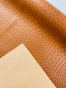 Coñac Ostrich Faux Leather Upholstery By The Yard, Ostrich Embossed Vinyl Leather 54" Wide