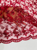 Metallic Floral Butterfly Fabric - Burgundy - Embroidered Floral Butterfly Design Mesh Fabric by Yard