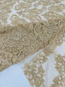 My Lady Beaded Fabric - Champagne - Damask Beaded Sequins Embroidered Fabric By Yard