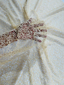 Fish Net Sequins Fabric - Champagne - Cast Net Design Sequins Embroidery Lace Fabric By Yard