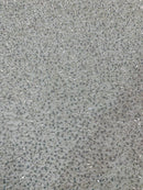 Beaded Sequins Pearl Fabric - Clear on Off-White -  Embroidered Pearl Beads and Sequins on Lace By Yard