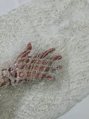 Beaded Embroidered Fabric - Crear White - Embroidered Heart and Feather Pattern Fabric By Yard