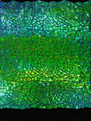 Mirror Sequins Velvet - Green Iridescent - Shiny Mirror Cut Sequins on Velvet By Yard