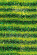 Holographic Snake Spandex - Lime Green - Poly Spandex Stretch  Snake Print Fabric By Yard