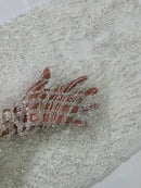 Beaded Embroidered Fabric - Off-White - Embroidered Heart and Feather Pattern Fabric Sold By Yard