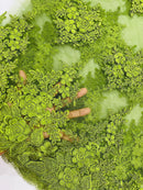 Flower 3D Corded Fabric - Olive Green - Lace Mesh Fabric Embroidered Floral Design by Yard