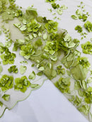 Floral 3D Pearl Fabric - Sage Green - Embroidered Double Border Flower Design Pearl Fabric By Yard