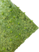 3D Rhinestone Flower Design - Sage Green - Flower Sequins  Embroidered Lace Fabric By Yard