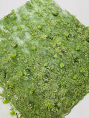 3D Rhinestone Flower Design - Sage Green - Flower Sequins  Embroidered Lace Fabric By Yard