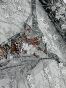 Flower 3D Glitter Fabric - Silver on Black - Embroidered Floral Sequins Design Fabric by Yard