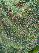 Iridescent Clear Sequins on Olive Stretch Velvet 2-way Stretch 58/60”By The Yard