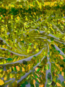 Jumbo Oval Sequins Fabric - Lime Green -  Iridescent Oval Shape Teardrop Sequins Fabric By Yard