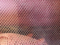 Fishnet Rhinestones Fabric - Spandex Fabric Fish Net with Crystal Stones by Yard