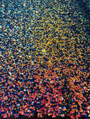 Multi-Color Spandex Sequins - Rainbow - Sequins on 4 Way Stretch Mesh Fabric By Yard