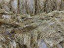 Metallic Fringe Eyelash Design - Gold - Embroidered Fancy Fringe 2 Way Stretch By Yard