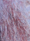 Metallic Fringe Eyelash / Feather Fabric - Embroidered Fabric with Hanging Details 2 Way Stretch By Yard