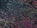 Iridescent Rainbow Sequins Fabric, Damask Design 4 Way Stretch Sequin Fabric on a Spandex Mesh-Prom-Gown By The Yard