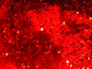 Red Sequin on Red Stretch Velvet With Luxury Sequins all Over 5mm Shining Sequins 2-way Stretch 58/60” (Choose The Quantity)