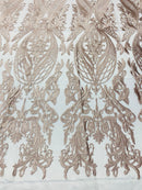 Blush Lace Fabric, Corded Lace Embroidery on a Mesh Lace Fabric By The Yard For Gown, Wedding-Bridal-Dress (Choose The Size)