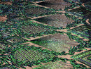 IRIDESCENT GREEN Geometric Design On Spandex Mesh-Prom-Gown, 4 Way Stretch Sequin Fabric By The Yard