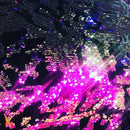 Iridescent Purple Sequin on Black Stretch Velvet With Luxury Reversible Sequins Shining Sequins 2-way Stretch 58/60” (Choose The Measure)