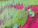 Neon Pink/Iridescent Green Flip Up Sequins Reversible, 2-Way Stretch 58/60” Sequin Fabric Dresses-Nightgowns-Prom Gown (Choose The Quantity)