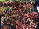 Iridescent Orange Sequin on Black Stretch Velvet With Luxury Reversible Sequins Shining Sequins 2-way Stretch 58/60” (Choose The Measure)