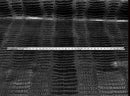 Faux Crocodile Print Vinyl Fabric - Black - High Quality Vinyl Sold by The Yard