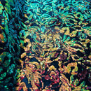 Iridescent green/Orange Sequin on Stretch Velvet With Two Tone Sequins all Over 5mm Shining Sequins Flip By The Yard