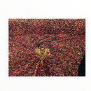 #31 Iridescent Sequin on Stretch Velvet With Luxury Sequins 2-Way Stretch(Pick a Size)