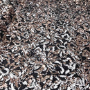 Champagne/White Sequin on Stretch Velvet With Two Tone Sequins all Over 5mm Shining Sequins Flip By The Yard